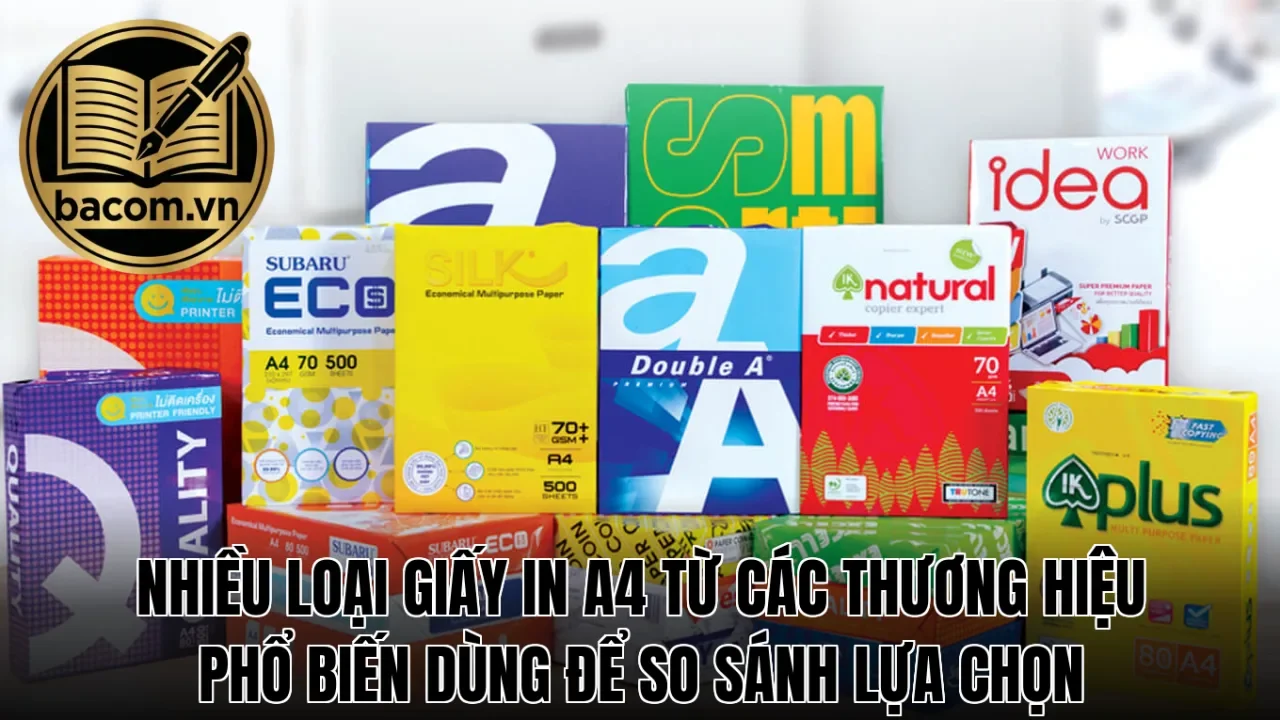 Nhiều loại giấy in A4 từ các thương hiệu phổ biến dùng để so sánh lựa chọn