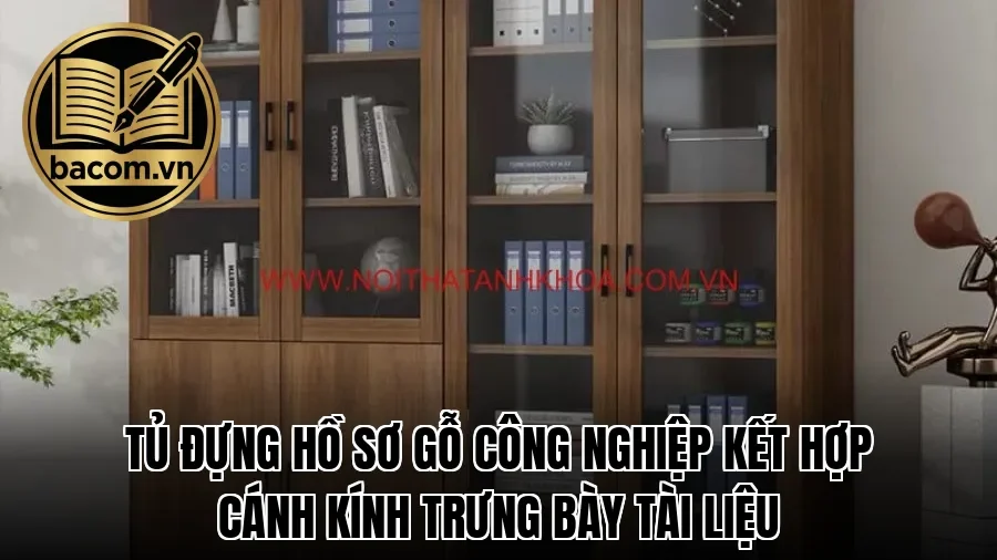 Tủ đựng hồ sơ gỗ công nghiệp kết hợp cánh kính trưng bày tài liệu