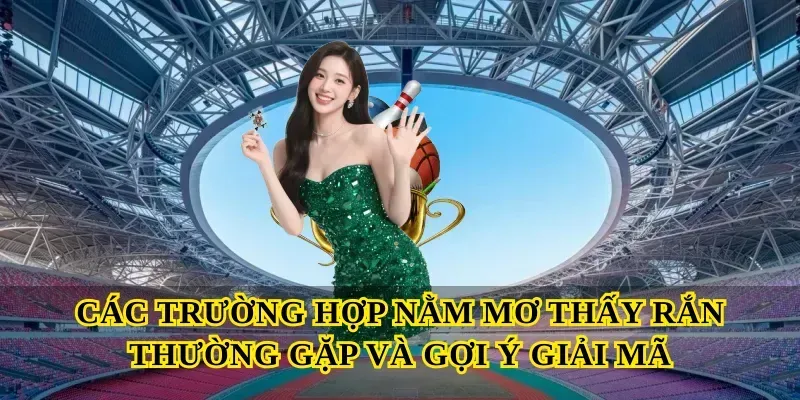 Các trường hợp nằm mơ thấy rắn thường gặp và gợi ý giải mã