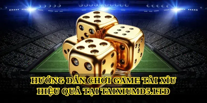 Hướng dẫn chơi Game tài xỉu hiệu quả tại Taixiumd5.ltd
